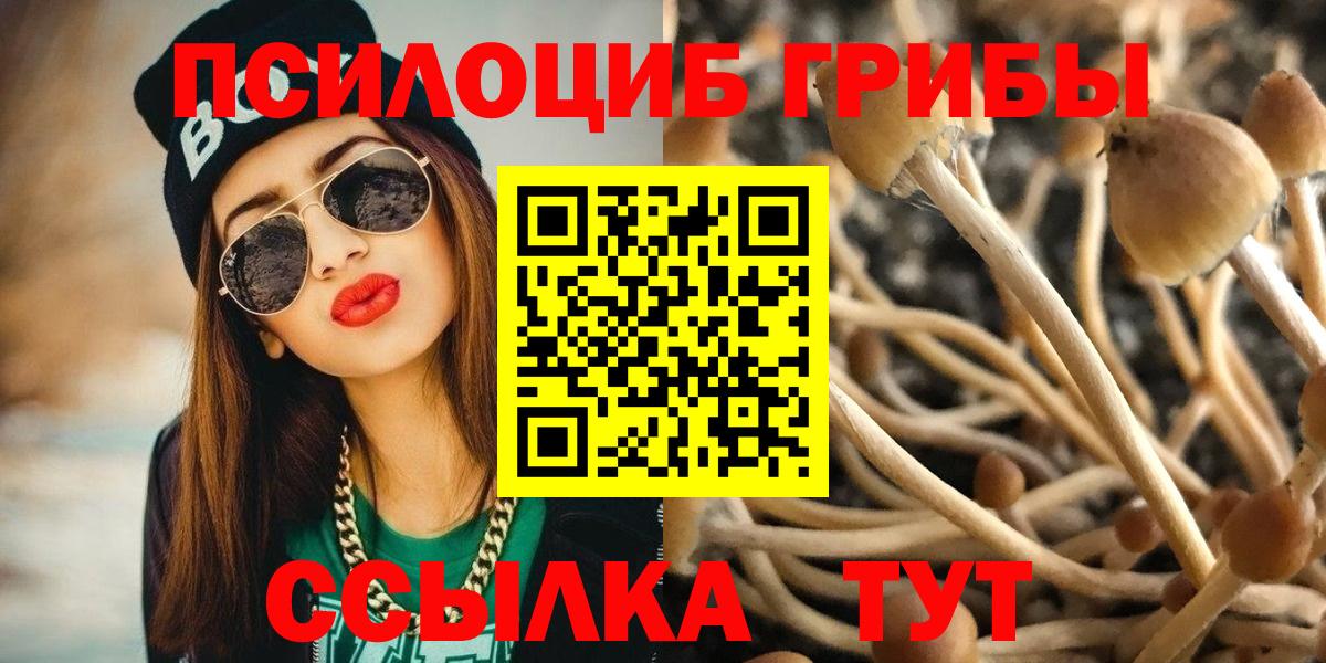 Псилоцибиновые грибы Magic Shrooms Всеволожск